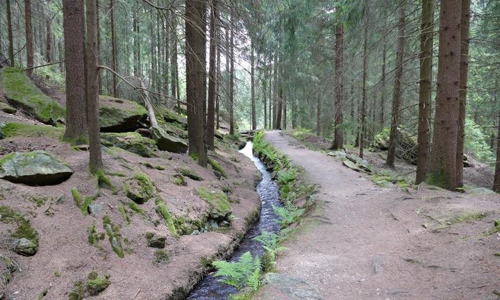 Am Greifensteinstollen