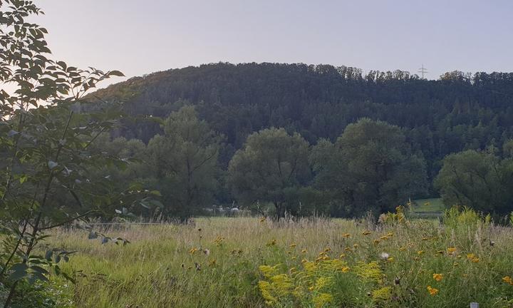 Biergarten Rauschbart